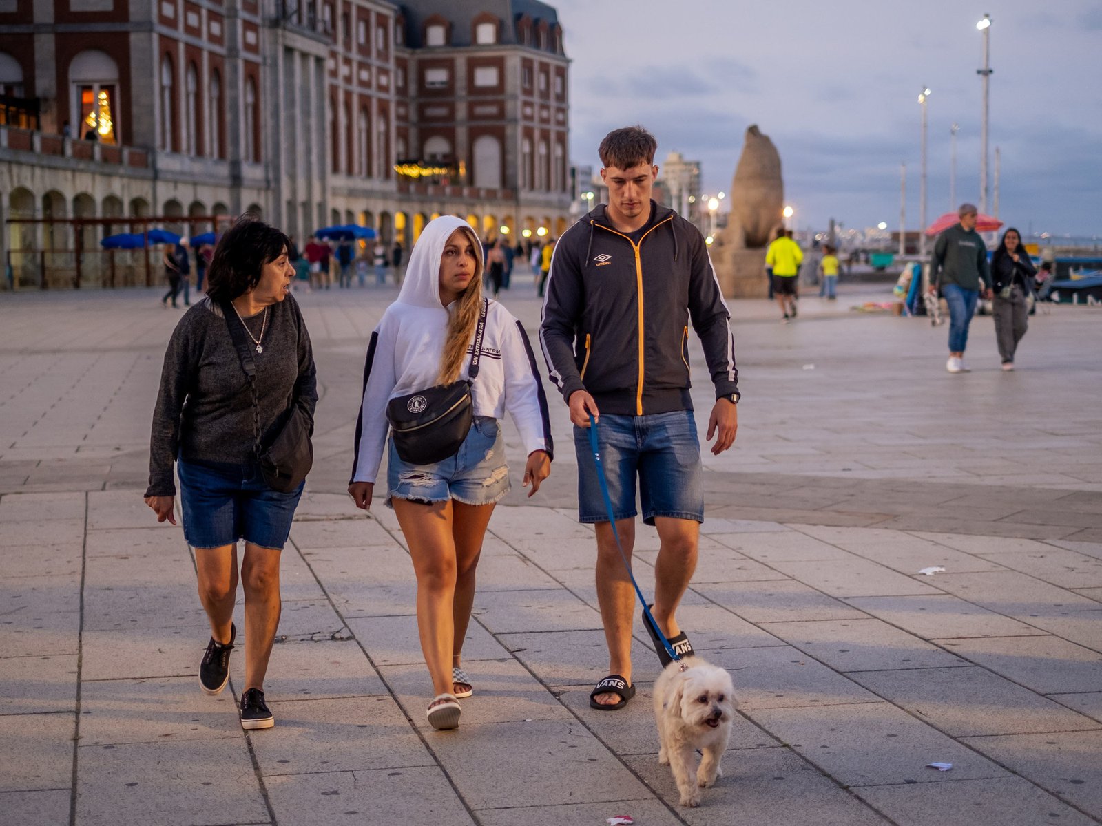 cómo estará en Año Nuevo