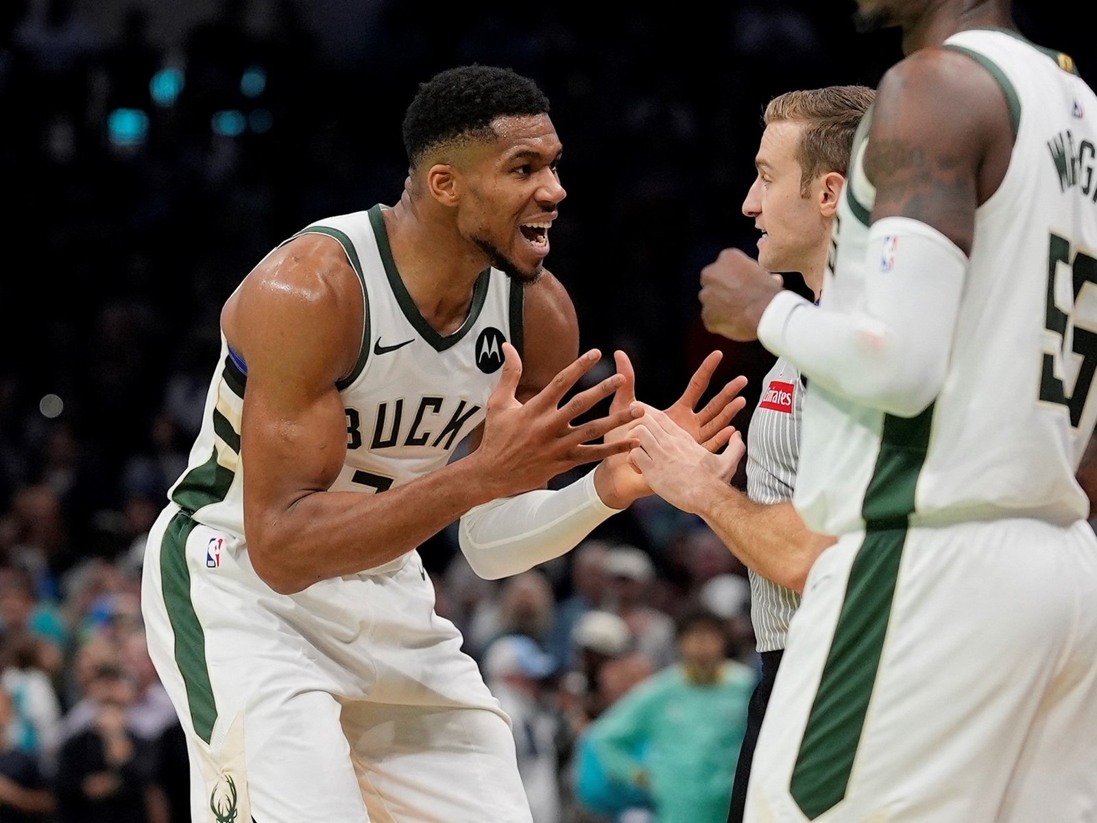 cuatro equipos luchan por medio millón de dólares y un trofeo glamoroso que todos quieren tener