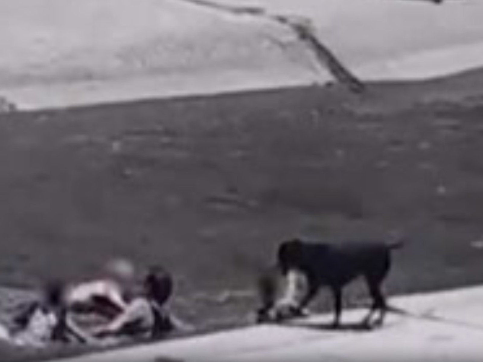 dos chicos se metieron a un río, se los llevó la corriente y debieron ser rescatados por los vecinos