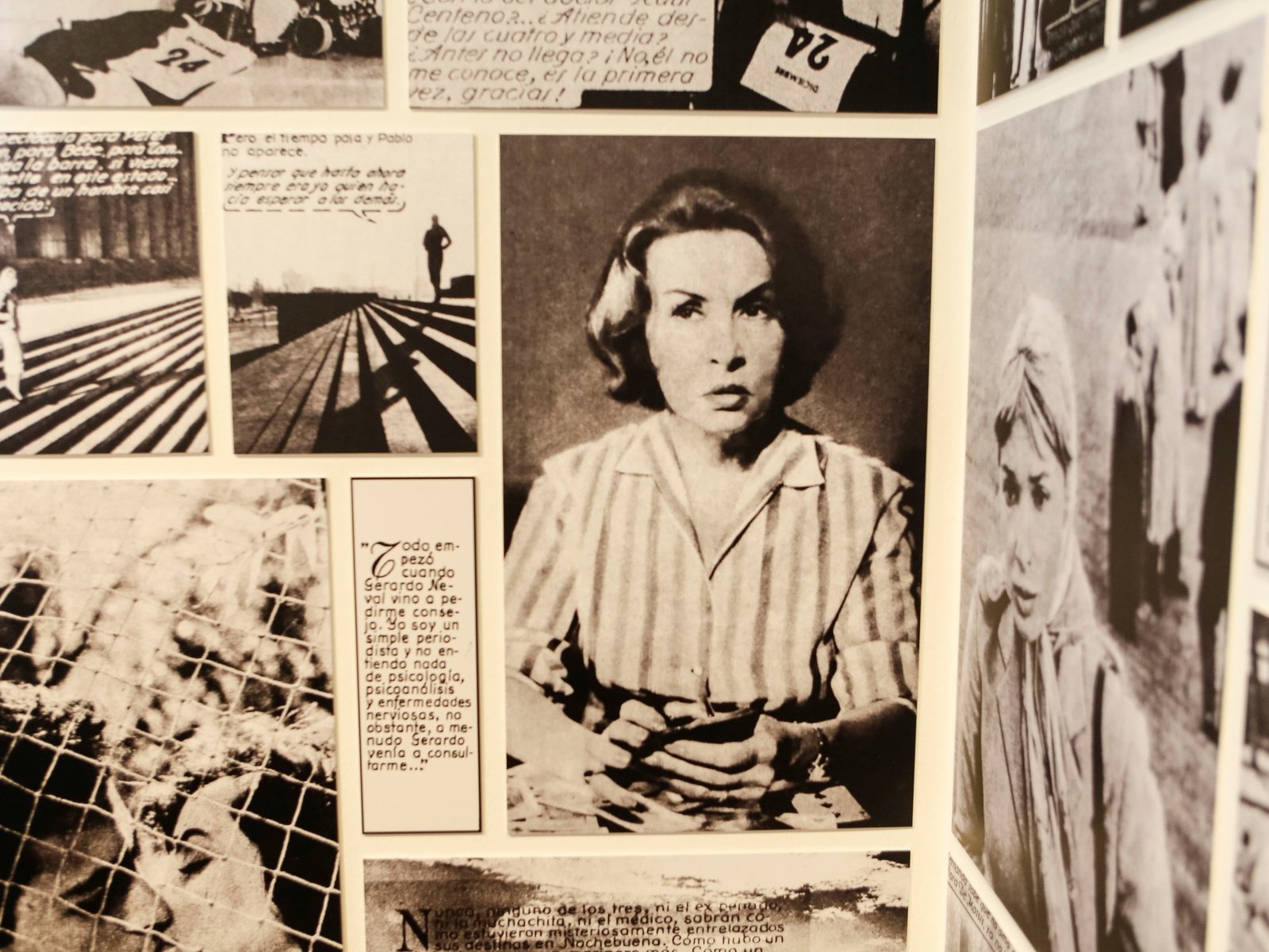 el Malba homenajea a George Friedman