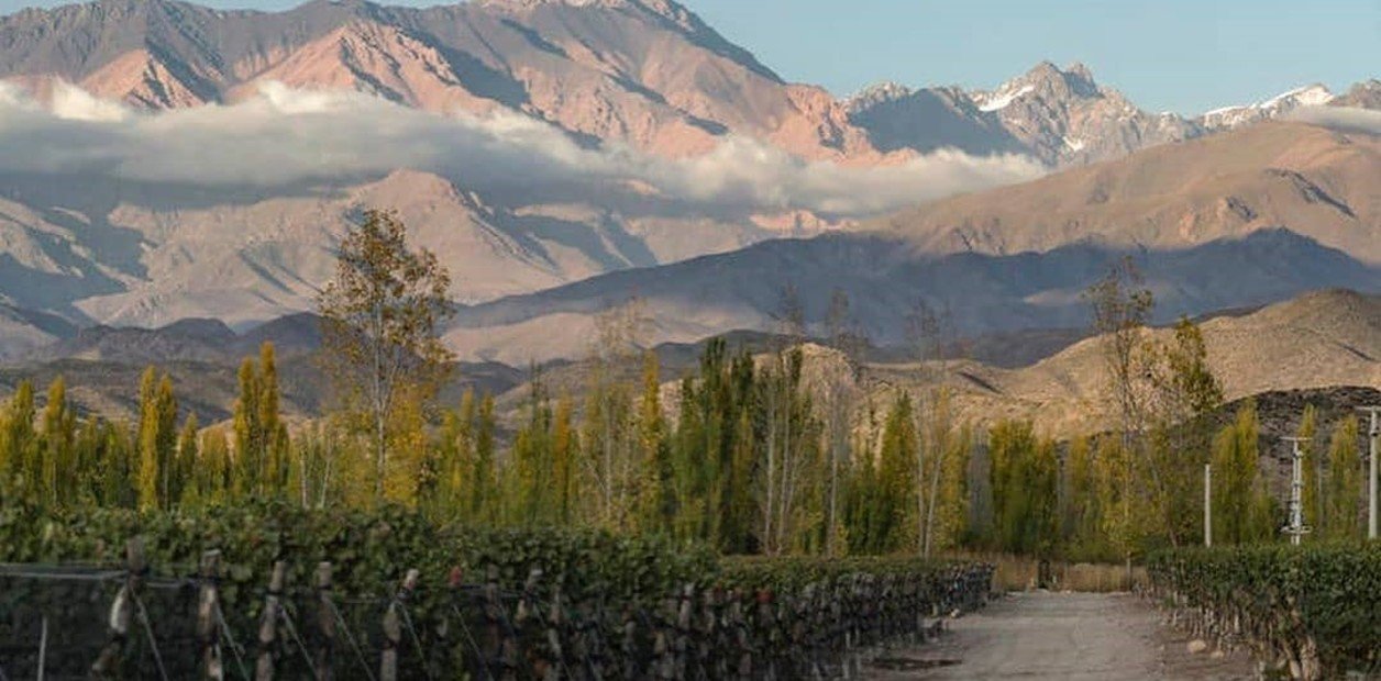 fallo inédito de la Justicia sobre cómo debe ser el reparto entre hijos