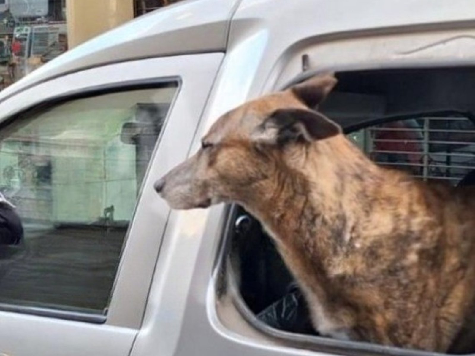 la policía rompió el vidrio para salvarlo