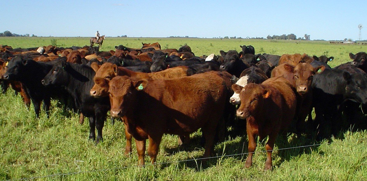 ¿Por qué se asocia la palabra hacienda a la riqueza y el patrimonio?