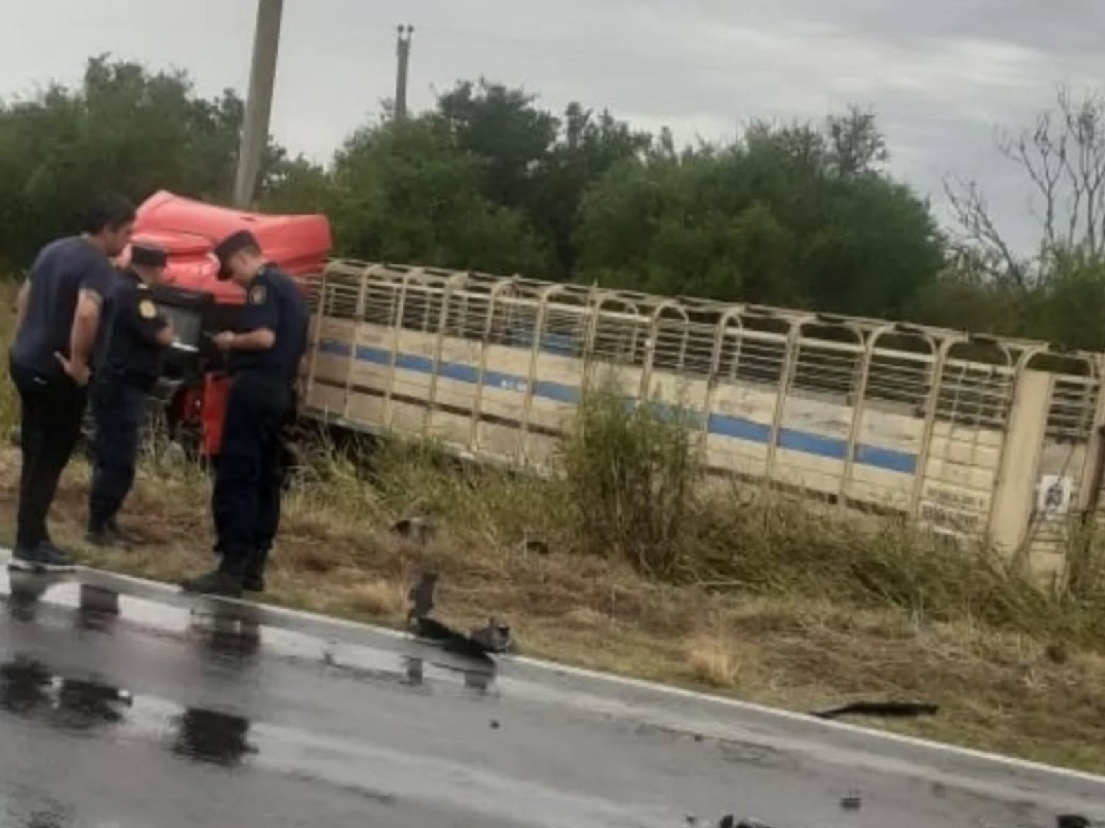 Brutal choque frontal entre un auto y un camión ganadero en Entre Ríos: tres muertos
