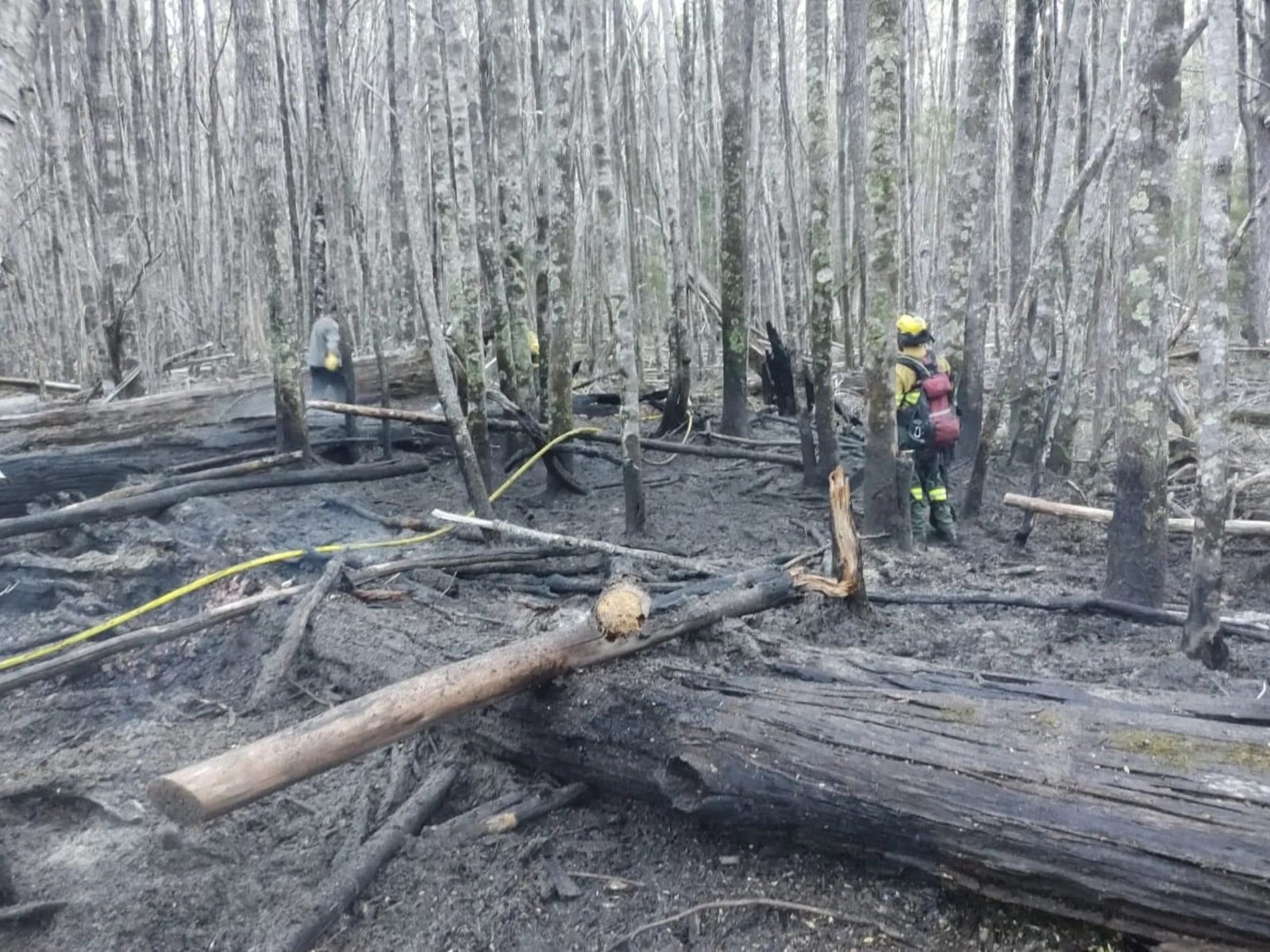 Denuncian que intentaron incendiar la casilla de un guardaparques en el Nahuel Huapi, a 300 metros de un camping clausurado
