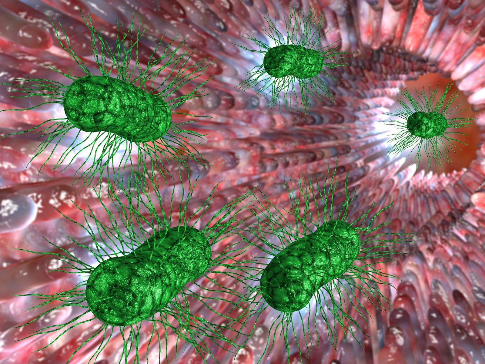 Descubren un método muy simple para explicar por qué algunas personas se enferman más que otras