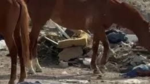 Desvalijaron a ex alto jefe policial en chacra cercana a Rawson