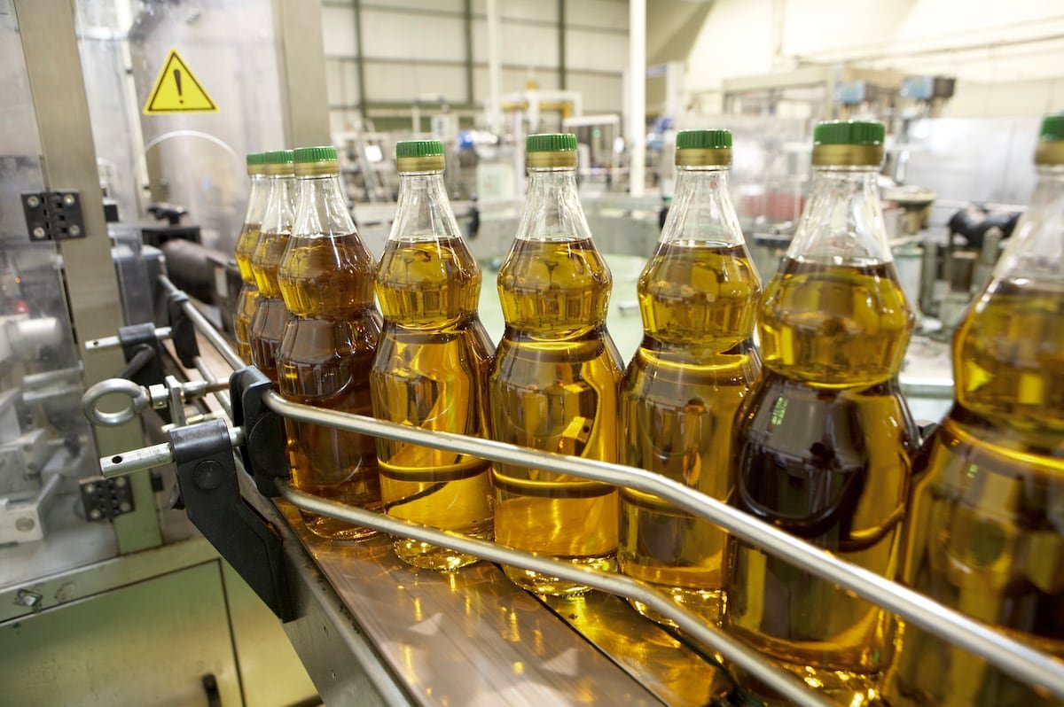 El acuerdo comercial con Mercosur dispara las expectativas de los productores de aceite de oliva | Economía