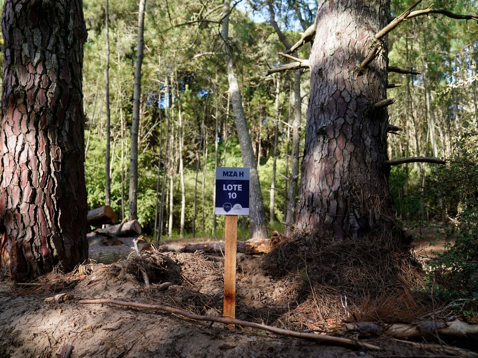 El coqueto balneario que más está creciendo en la Costa con desarrollos exclusivos y oportunidades de pago