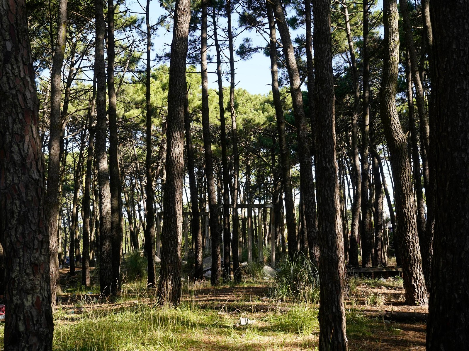 El megaproyecto inmobiliario que vecinos de un tranquilo balneario de la Costa resisten y quedó frenado