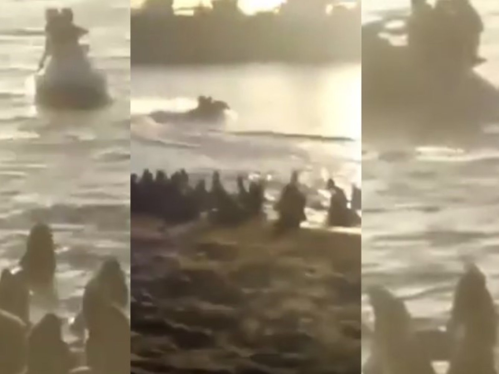 Identificaron al hombre que asustó en moto de agua a lobos marinos en Mar del Plata: afronta una multa millonaria