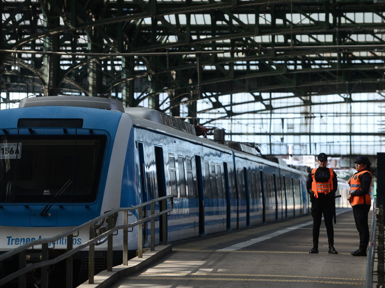 Por un árbol que cayó sobre las vías, hay cuatro ramales del tren Roca interrumpidos