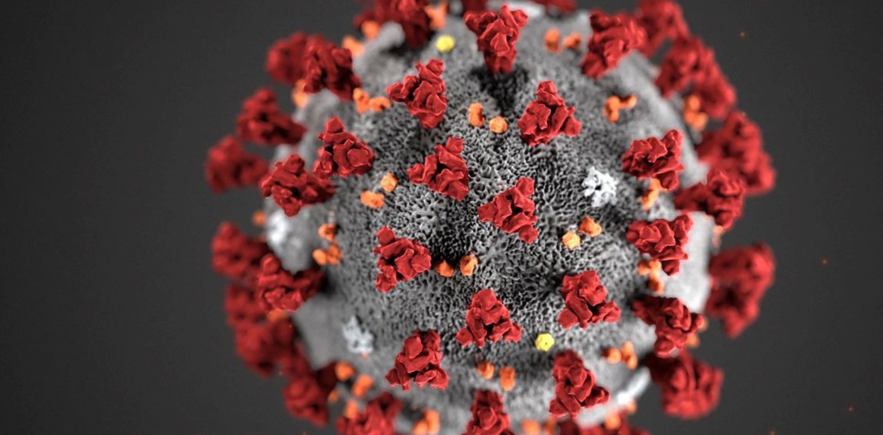 Qué es el HMPV, el virus que disparó el alerta en China: ¿Es una amenaza mundial?