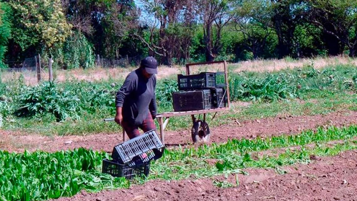 Regiones con lluvias récord y otras con déficits: un diciembre de contrastes en Córdoba