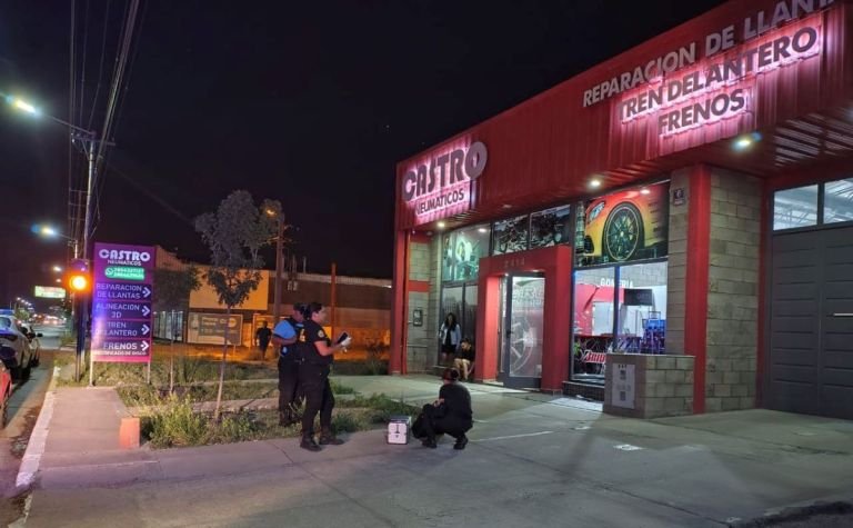 Trelew: Quisieron robar caja registradora de una casa de venta de neumáticos y la policía apresó a ladrón