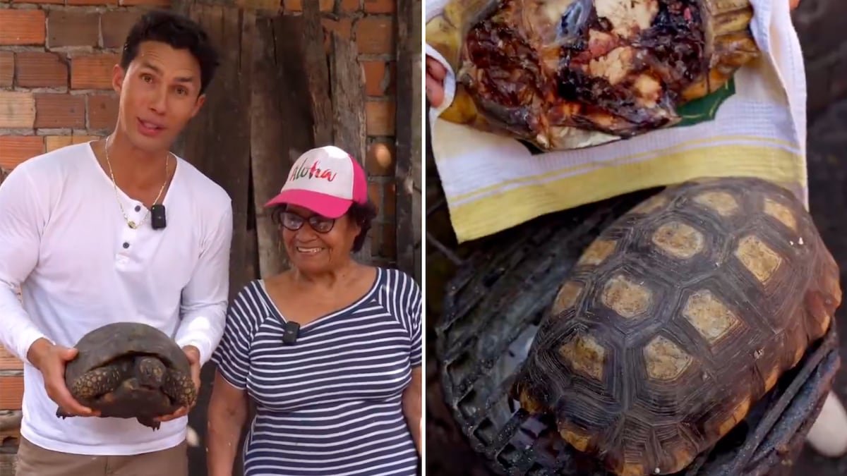 Un famoso chef peruano cocina una especie de tortuga protegida en un vídeo que se vuelve viral