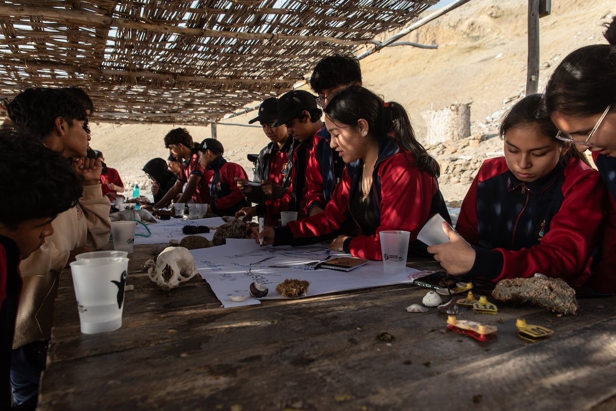 Un laboratorio en medio del desierto de Perú para proteger a los animales de la gripe aviar y ‘El Niño’ | América Futura