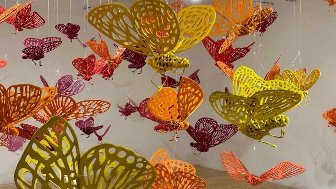 Vivir y morir en 24 horas