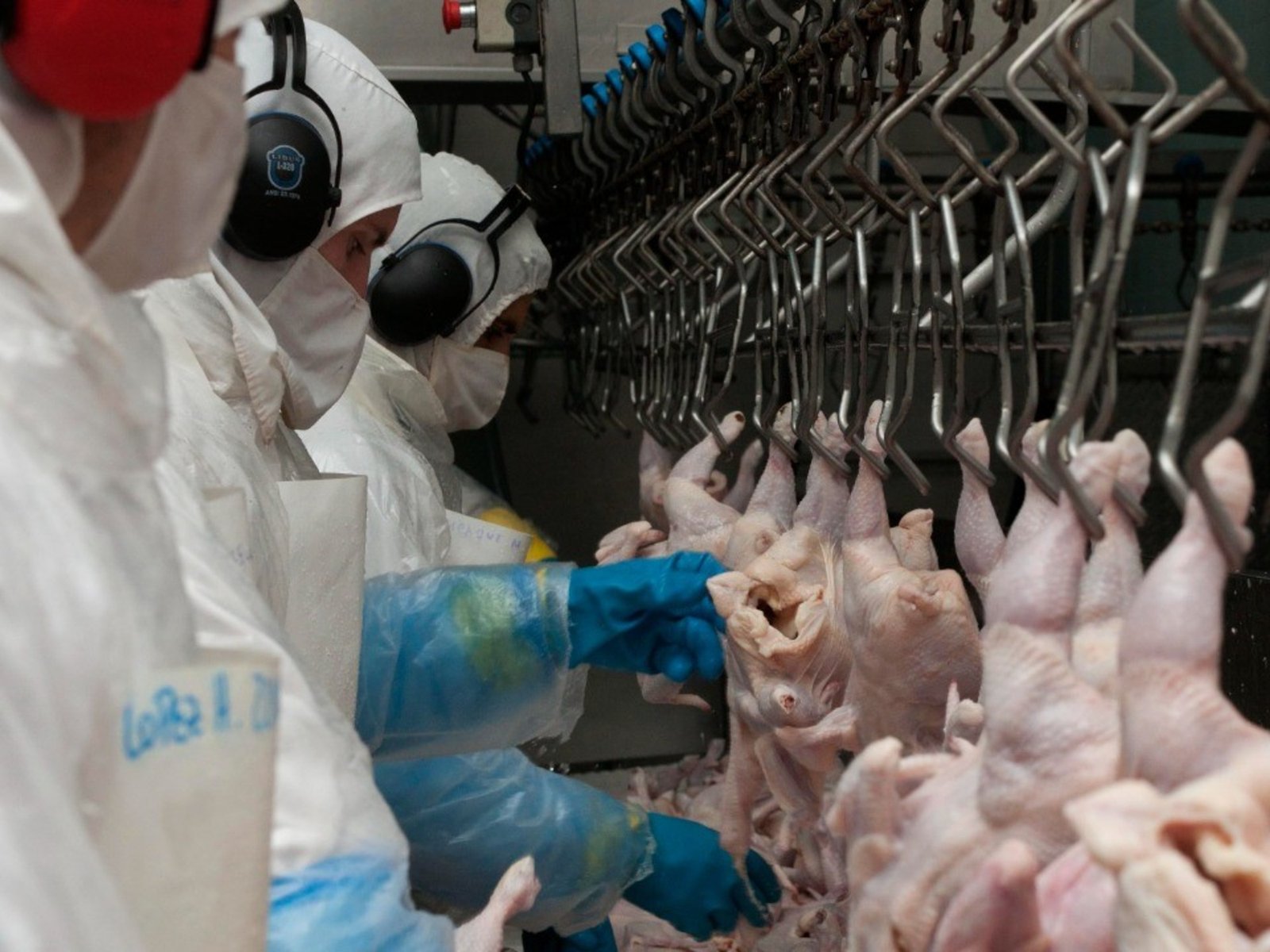 en Estados Unidos advierten por las mutaciones del virus y un potencial riesgo pandémico