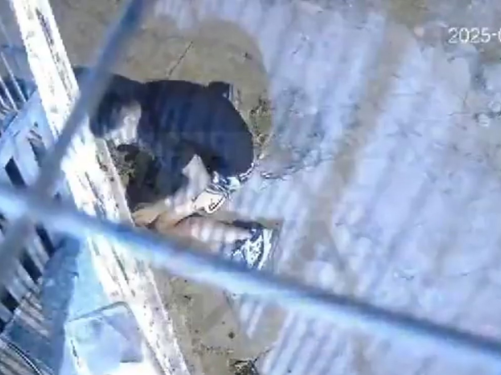 en uno de ellos, murieron dos ladrones