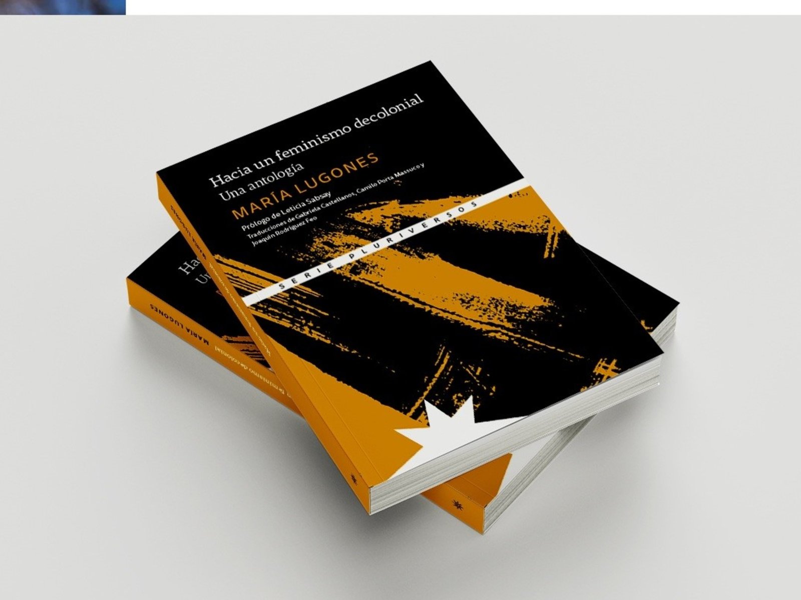 la mirada crítica de María Lugones al feminismo tradicional