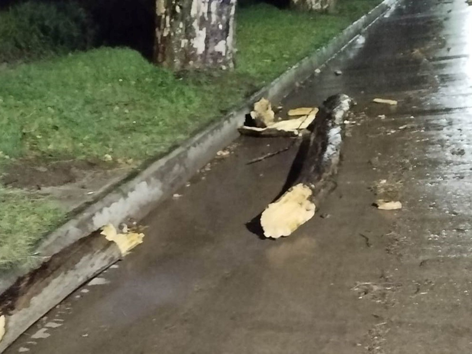 un joven volvía del Festival de Jesús María en moto, se le cayó una rama encima y murió