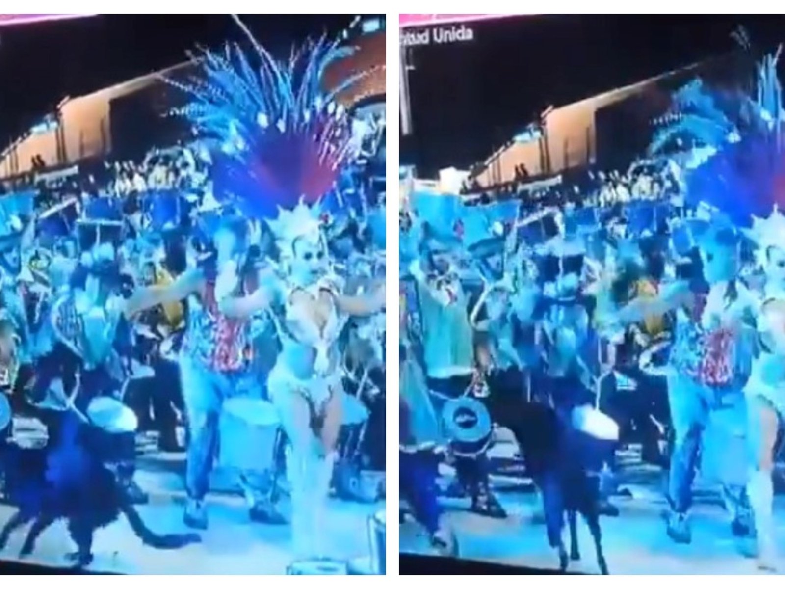 un perro se coló en el desfile y el integrante de una comparsa le pegó con un palillo