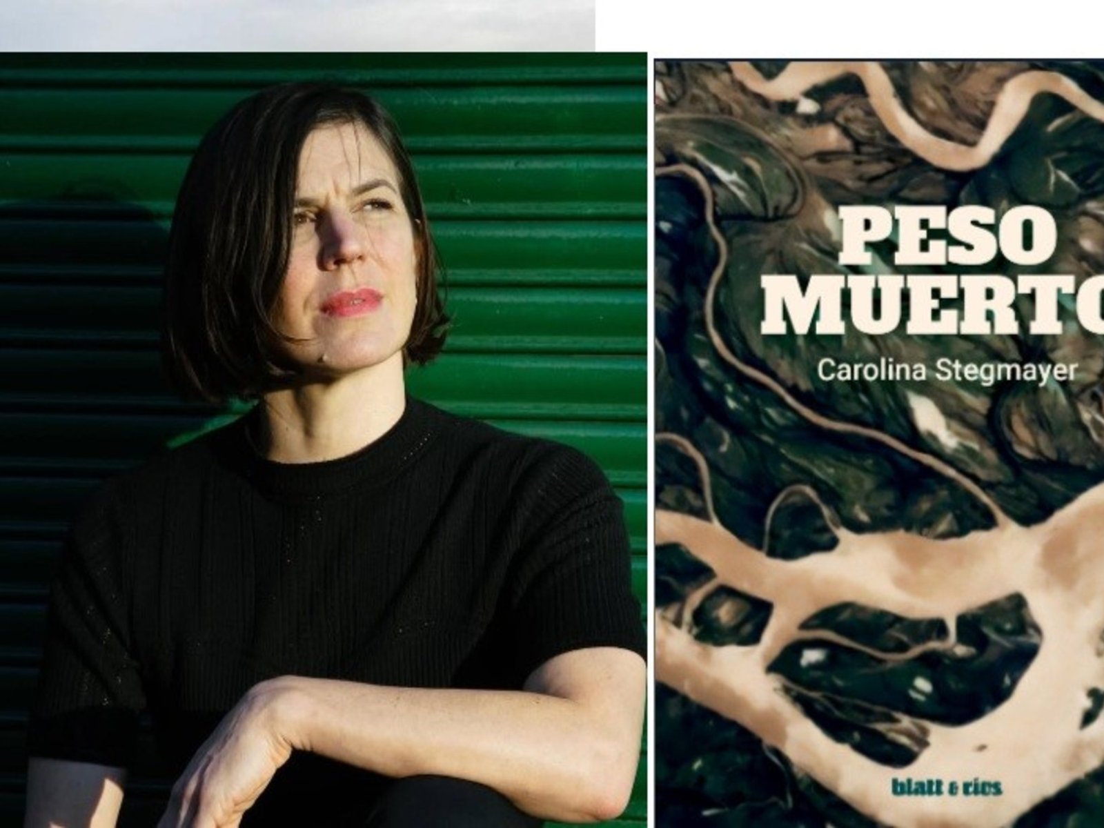 Intriga y costumbrismo entre los canales del Delta en una novela de Carolina Stegmayer