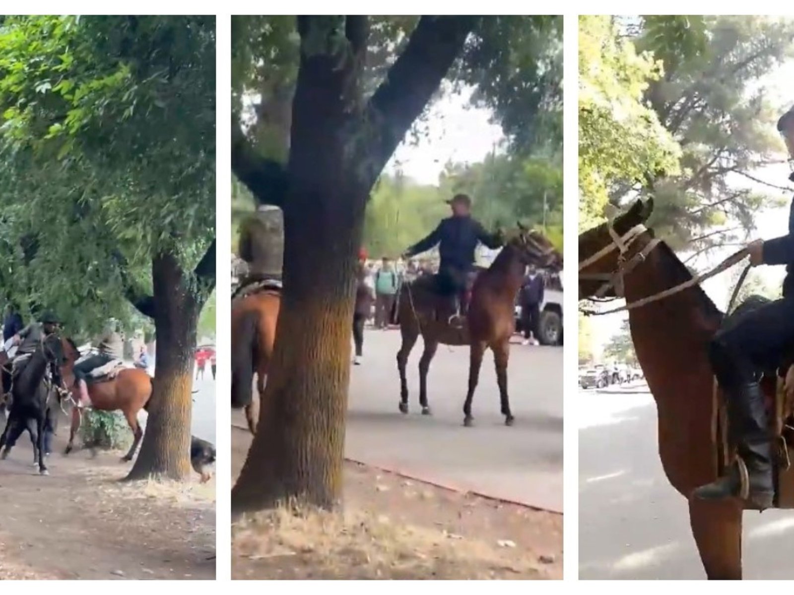 enfrentamiento entre paisanos a caballo y amigos de los tres detenidos por los incendios