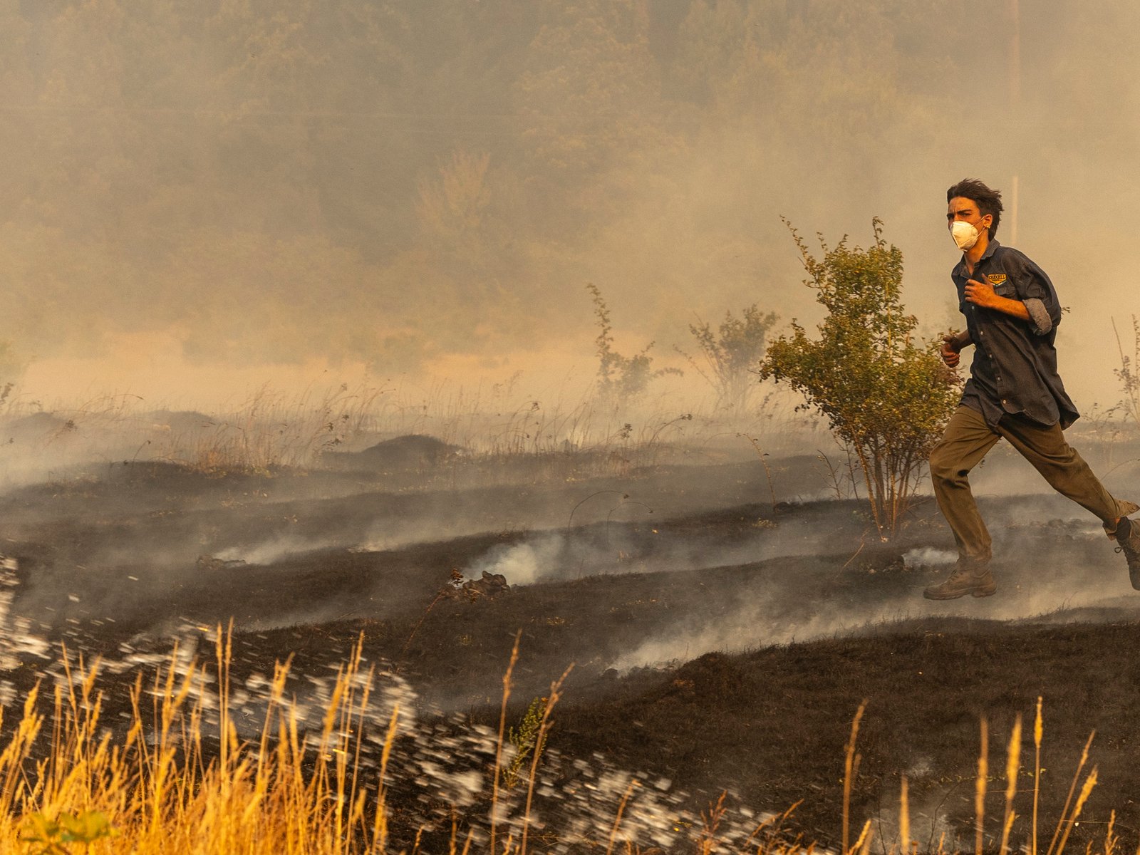la lluvia trajo algo de alivio tras un día de fuego descontrolado, pero se esperan más vientos y nadie baja los brazos