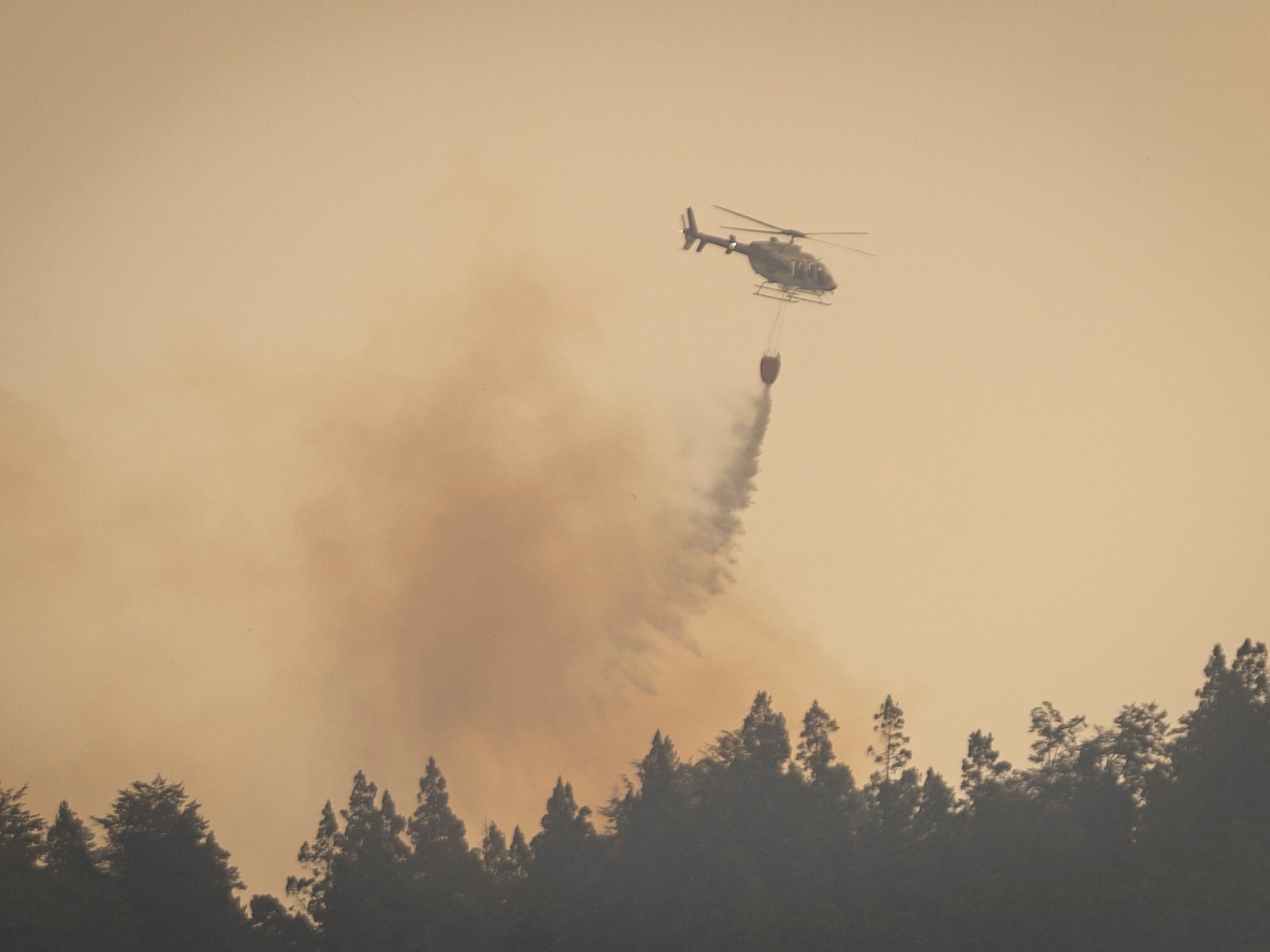 la lucha desde el aire y el impactante sobrevuelo que dimensiona el desastre