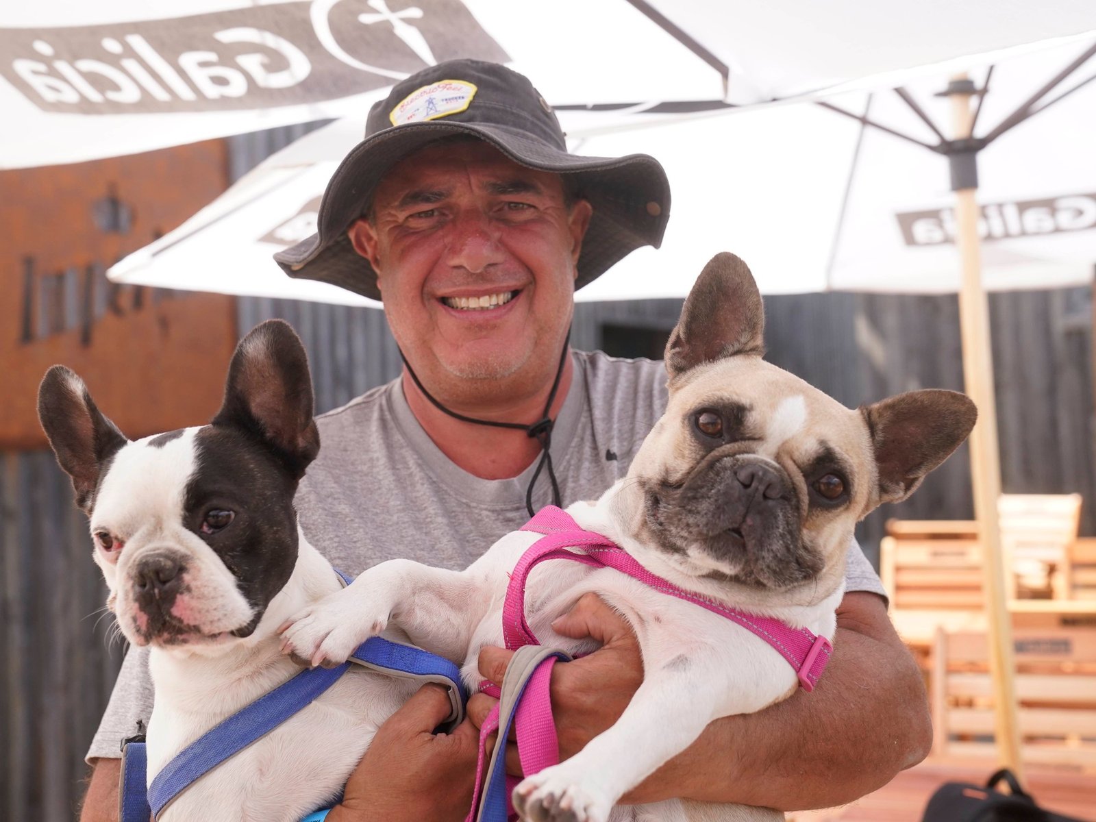 más restaurantes y paradores reciben mascotas y ahora con servicios para ellos