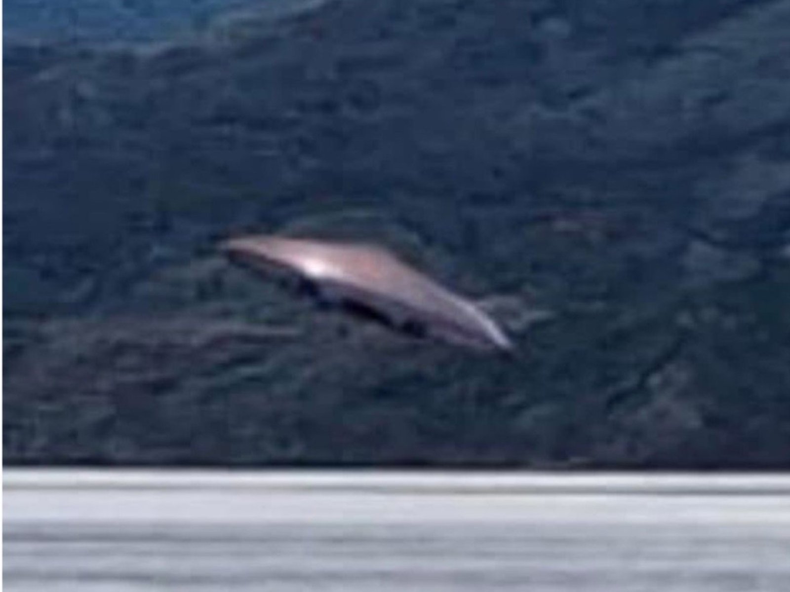 turistas aseguran haber visto un OVNI en el Canal de Beagle, pero un experto lo puso en duda