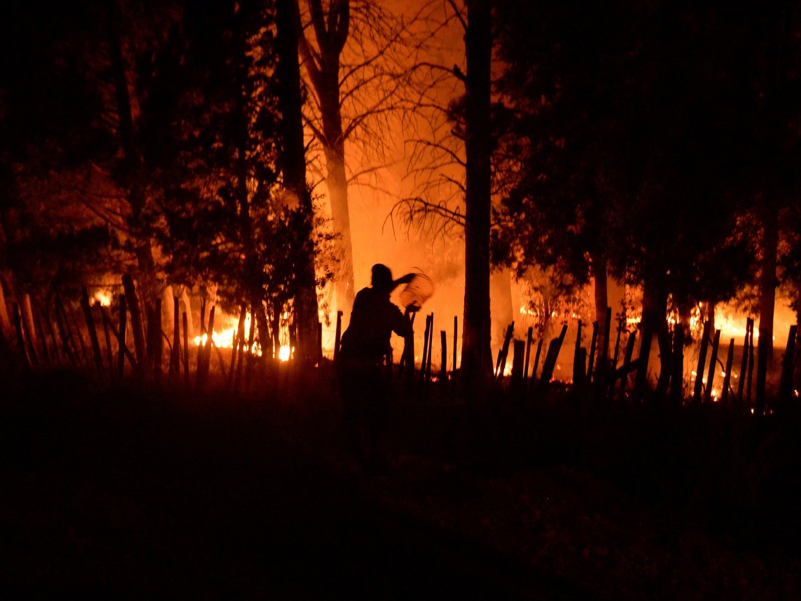 una noche de angustia y seis horas de caminata con la amenaza de un incendio descontrolado