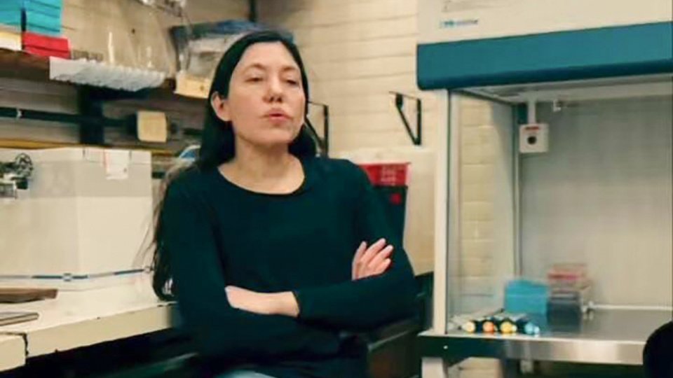 Atacaron la casa de una investigadora del CONICET que había discutido con militantes libertarios | Difundieron su domicilio en las redes sociales y, al menos, una persona entró y cortó el agua