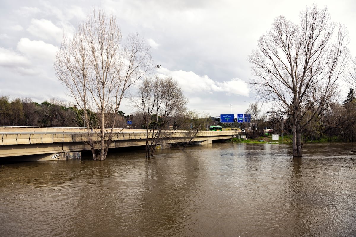 Cortado de nuevo el ramal que une la M-30 y la M-40 en Madrid ante un Manzanares multiplicado por 15 | Noticias de Madrid
