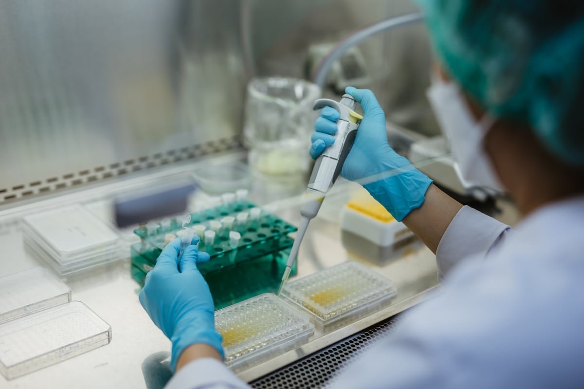 Detectado en España un enterovirus raro asociado a cuadros respiratorios y neurológicos en niños | Sociedad