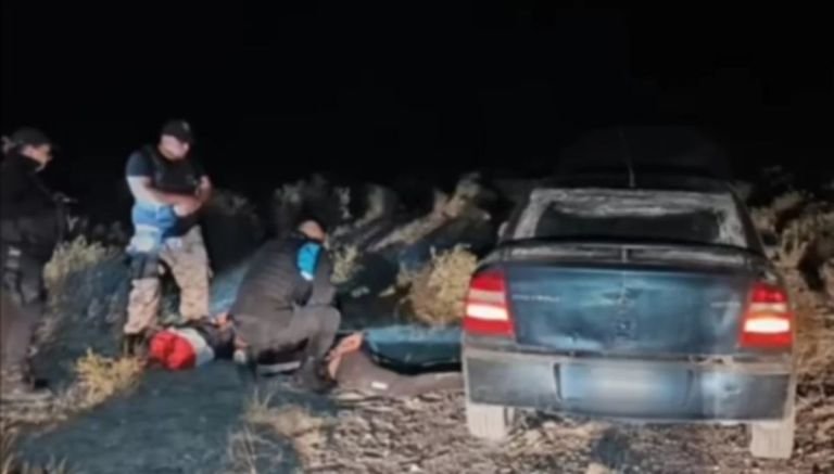 Detenidos en Península Valdés por abigeato y resistencia a la autoridad