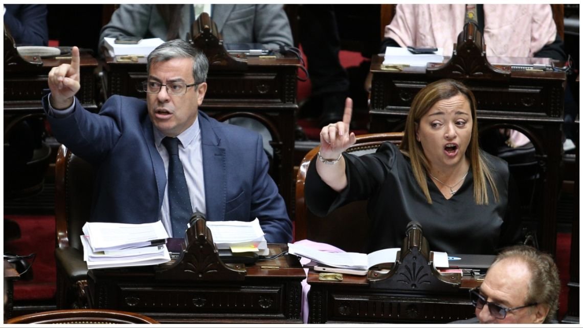 Diputados de Unión por la Patria rechazan el acuerdo por decreto con el FMI