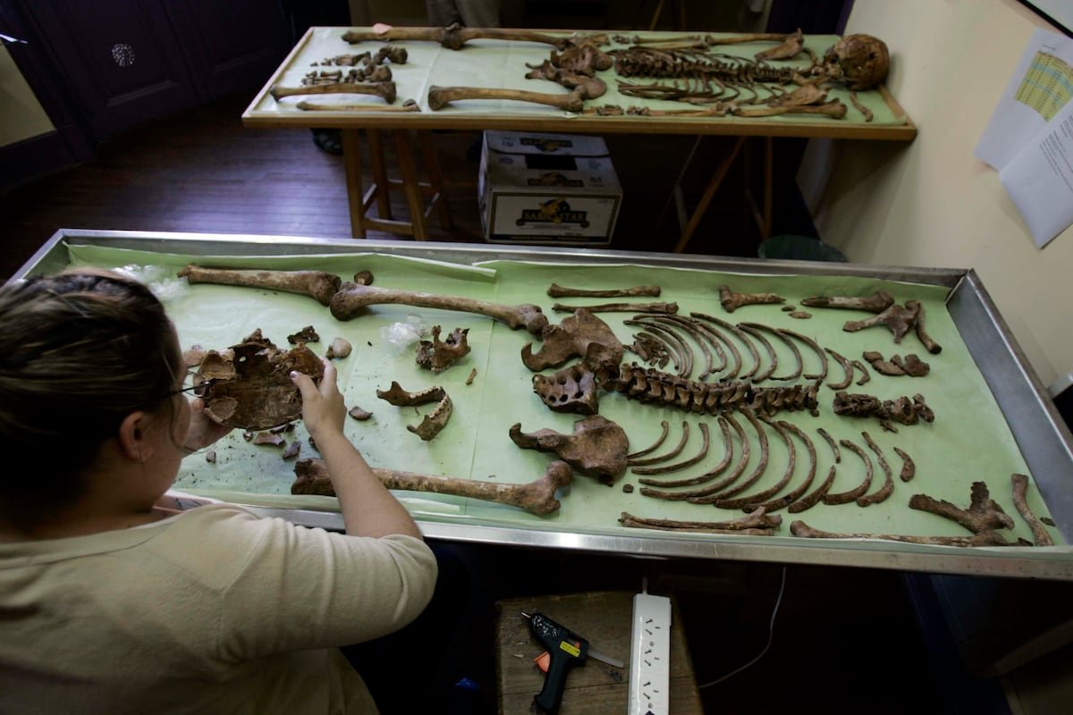 El Equipo Argentino de Antropología Forense: 40 años de búsqueda e identificación de desaparecidos de la dictadura