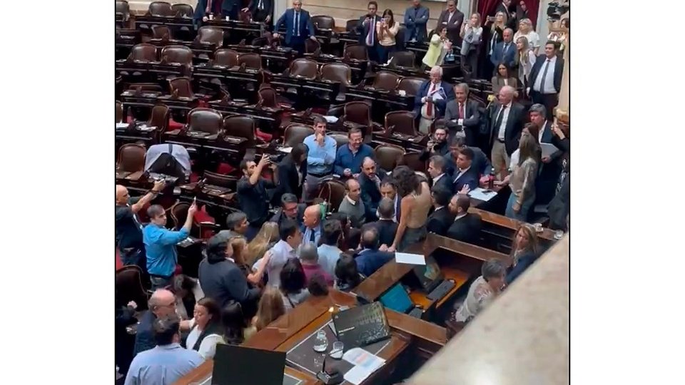 Escándalo en el Congreso: Zago y Almirón, a las piñas en Diputados | Los videos de las trompadas entre legisladores libertarios