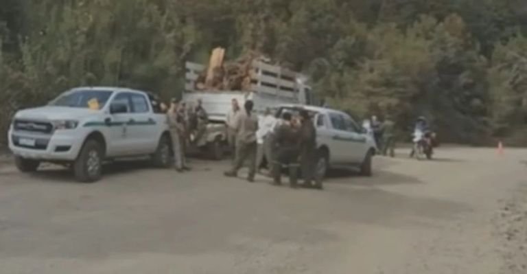 Guardaparques incautan leña talada ilegalmente en el Parque Nacional Los Alerces