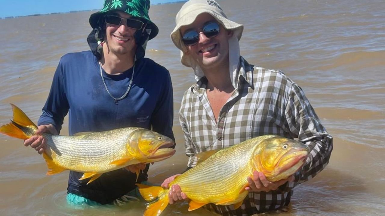 La zona norte del Río de la Plata está en un gran momento para ir en búsqueda de los dorados