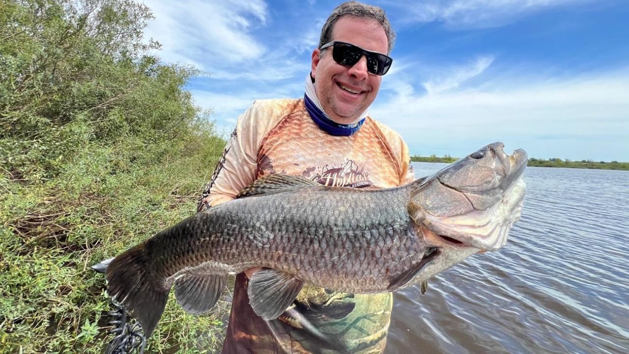 Los ríos de Uruguay atesoran las tarariras más grandes de Sudamérica.