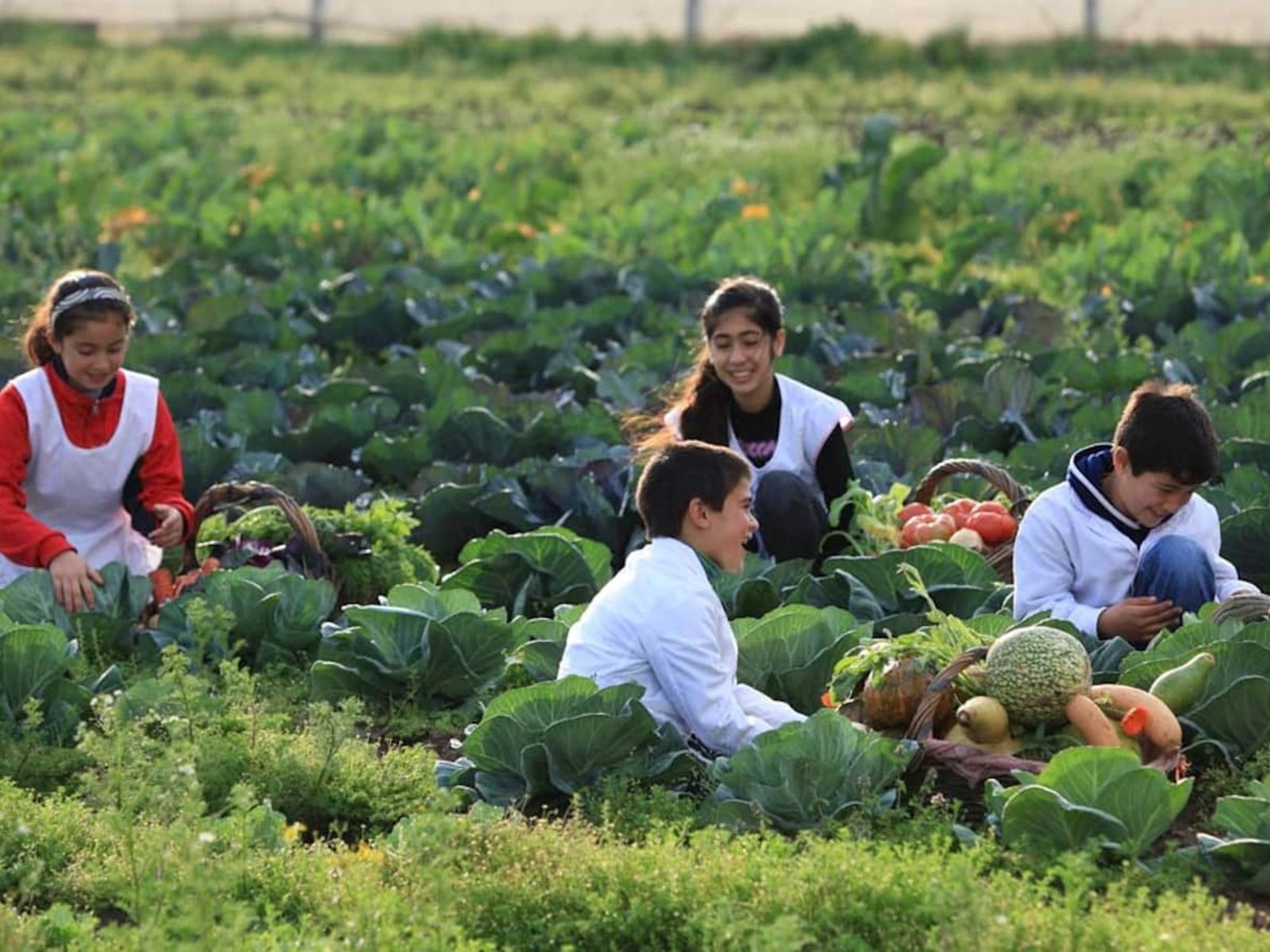 Por una alimentación saludable