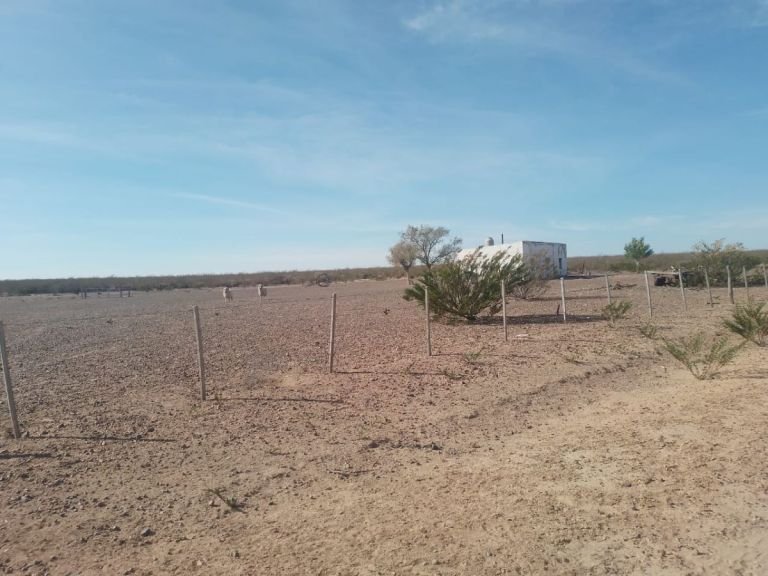 Rescatan a un peón rural de 77 años que vivía sin luz, agua ni calefacción