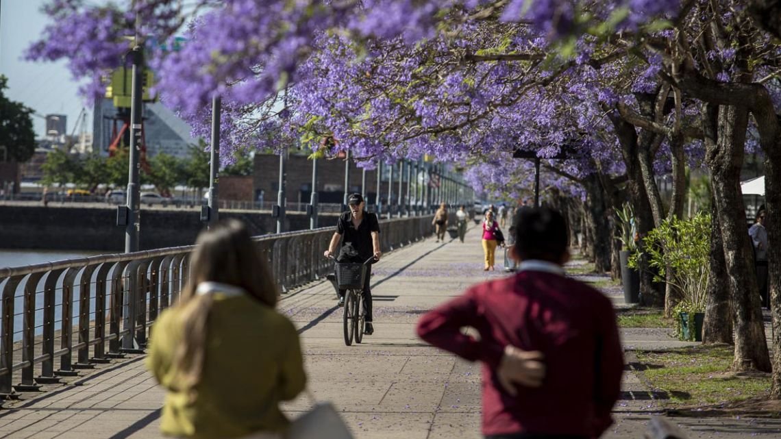 Tiempo: semana fresca y agradable, sin lluvias en el AMBA