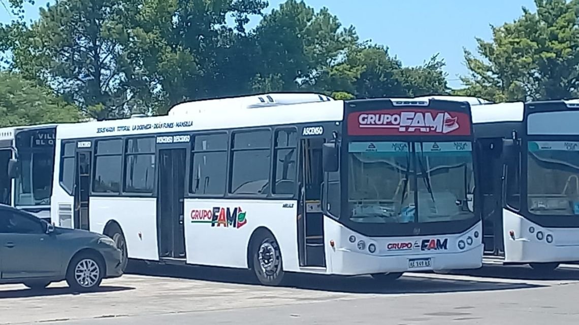 Transporte urbano en Córdoba: “Las frecuencias del grupo FAM no son las esperadas”