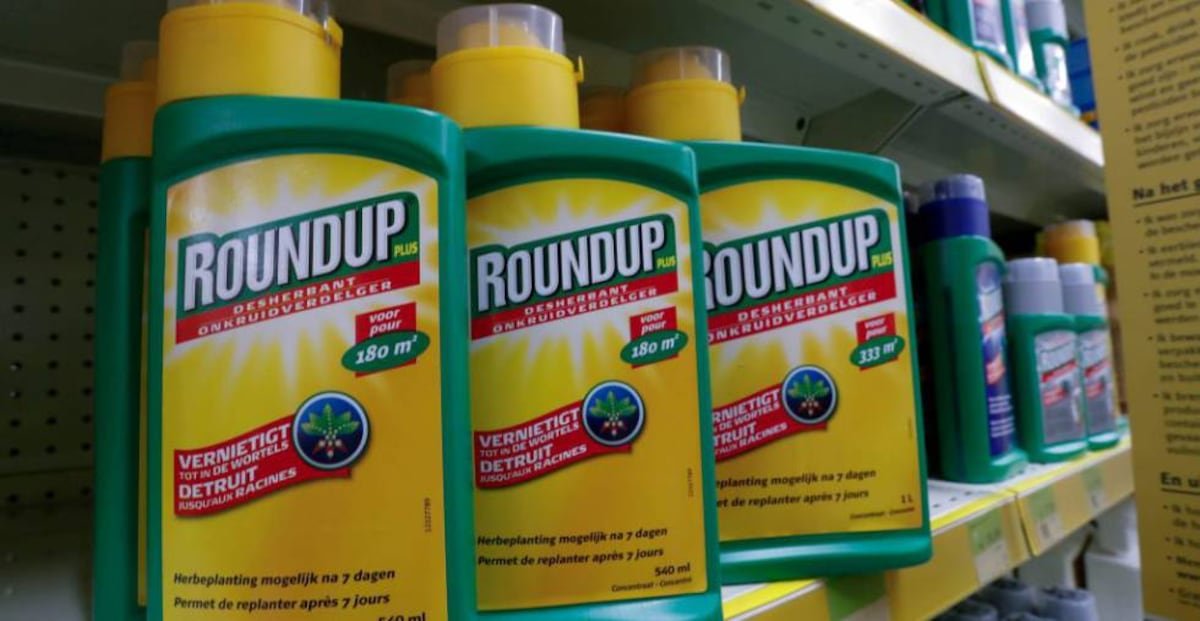 Un jurado condena a Bayer a pagar 2.065 millones de dólares por su herbicida Roundup en Estados Unidos | Economía