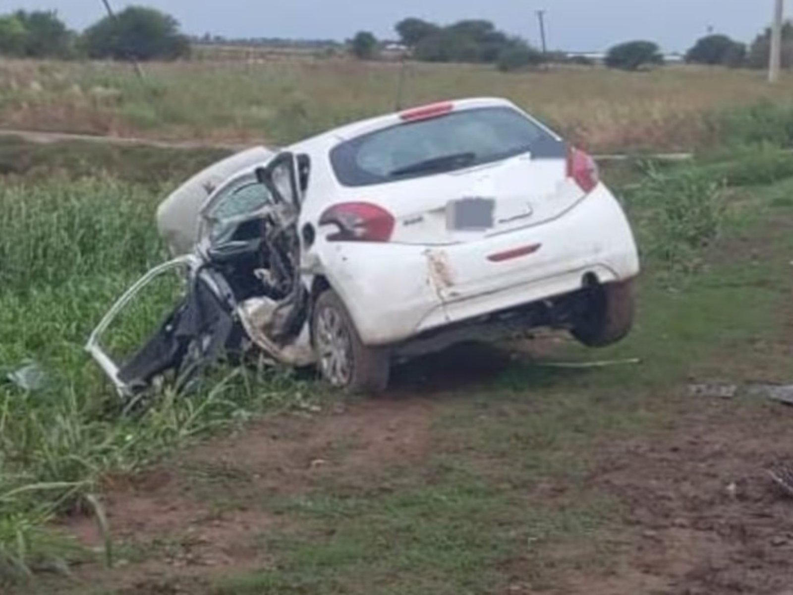 Una vaca suelta provocó una tragedia en una ruta de Córdoba